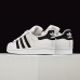 Superstar casual shoes shell straight shoes-White/Black