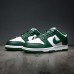 SB Dunk Low Running Shoes-Green/White-2434920