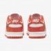 SB Dunk Low“Orange Paisley”Running Shoes-Orange/White-9433531