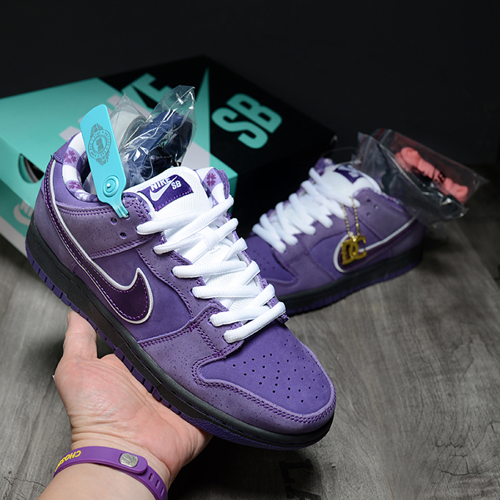 SB Dunk Low Running Shoes-Purple/White-4907566