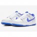 SB Dunk Low Running Shoes-Blue/White-2846214