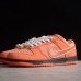 Concepts x SB Dunk Low Running Shoes-Orange/White-2126418