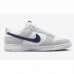 SB Dunk Low Running Shoes-White/Gray-9483772