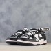 SB Dunk Low CS Running Shoes-Black/White-4707116