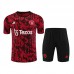 23/24 Manchester United M-U Red Black Training jersey Kit short sleeve (Shirt + Short)-8106303