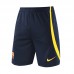 23/24 Barcelona Yellow Blue Training jersey Kit short sleeve (Shirt + Short)-5291471