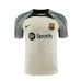 23/24 Barcelona khaki Gray Training jersey Kit short sleeve (Shirt + Short)-4312515