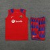 23/24 Barcelona Red Blue Training jersey Kit Sleeveless vest (vest + Short)-1095386