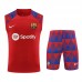 23/24 Barcelona Red Blue Training jersey Kit Sleeveless vest (vest + Short)-1095386