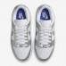 SB Dunk Low WMNS“Metallic Silver”Running Shoes-Silver/ White-4001699