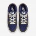 SB Dunk Low Running Shoes-Navy Blue/Gray-2807515