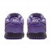 CONCEPTS x Dunk SB Low Pro Running Shoes-Purpel/White-8226694