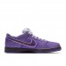 CONCEPTS x Dunk SB Low Pro Running Shoes-Purpel/White-8226694