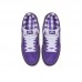 CONCEPTS x Dunk SB Low Pro Running Shoes-Purpel/White-8226694