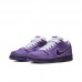 CONCEPTS x Dunk SB Low Pro Running Shoes-Purpel/White-8226694