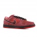 Dunk SB Low Red Lobster Running Shoes-Wine Red/Black-2365328