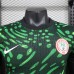 2024 Nigeria Home Green Jersey Kit short sleeve (Player Version)-7495879