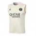 24/25 Paris Saint-Germain PSG Khaki Training Jersey Kit Sleeveless vest (Shirt + Vest)-9948450