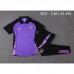 24/25 Real Madrid Purple Training Gray POLO Jersey Kit short Sleeve (Shirt + Long Pant)-8605178