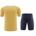 2024 France Khaki Training Jersey Kit short Sleeve (Shirt + Short)-2433906