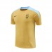 2024 France Khaki Training Jersey Kit short Sleeve (Shirt + Short)-2433906