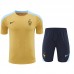 2024 France Khaki Training Jersey Kit short Sleeve (Shirt + Short)-2433906