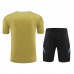 2024 Argentina Khaki Training Jersey Kit short Sleeve (Shirt + Short)-5898836