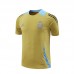 2024 Argentina Khaki Training Jersey Kit short Sleeve (Shirt + Short)-5898836