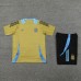 2024 Argentina Khaki Training Jersey Kit short Sleeve (Shirt + Short)-5898836