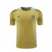 2024 Argentina Khaki Training Jersey Kit short Sleeve (Shirt + Short)-5898836