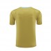 2024 Argentina Khaki Training Jersey Kit short Sleeve (Shirt + Short)-5898836