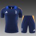 24/25 Juventus Navy Blue Training Jersey Kit short Sleeve (Shirt + Short)-9217058