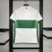 24/25 Elche Home White Green Jersey Kit short sleeve-1437651