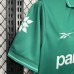 Retro 97/98 Palmeiras Home Green Jersey Kit short sleeve-6507339