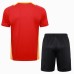 24/25 Bayern Munich Training Red Jersey Kit short Sleeve (Shirt + Short)-7197222